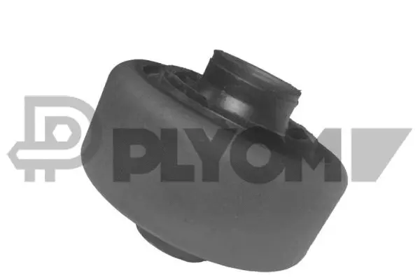 Mounting, control/trailing arm (P080154)