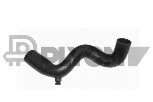 Radiator Hose (P753491)