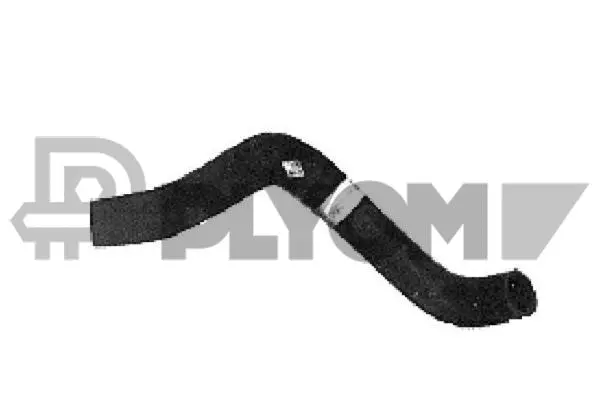 Radiator Hose (P126141)