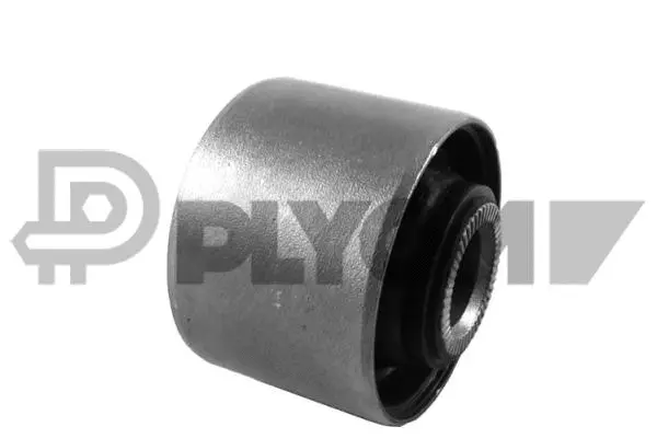 Bushing, axle beam (P755635)