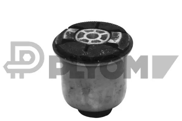 Bushing, axle beam (P021284)