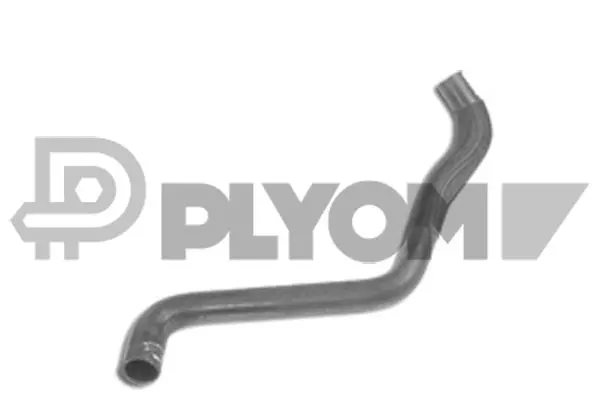 Radiator Hose (P031350)