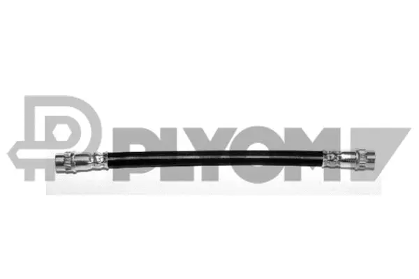 Brake Hose (P020543)