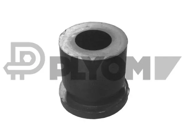 Bushing, leaf spring (P060028)