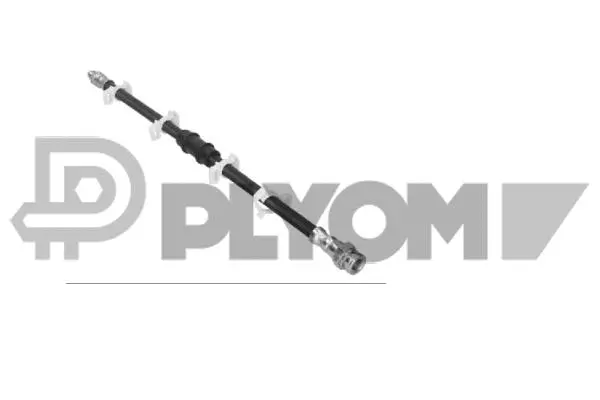 Brake Hose (P010481)