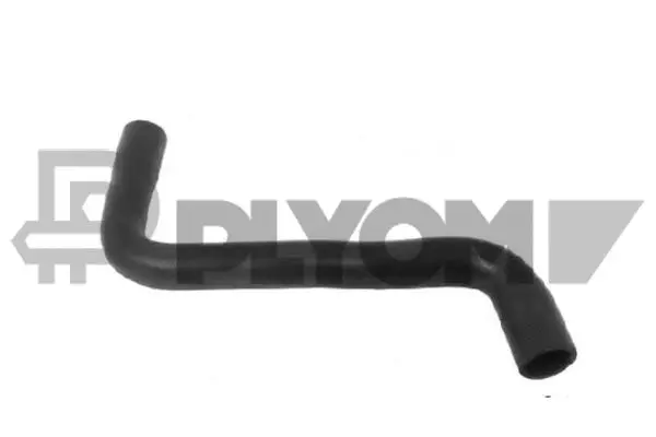 Radiator Hose (P026519)