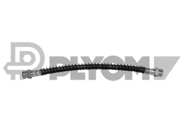 Brake Hose (P030012)