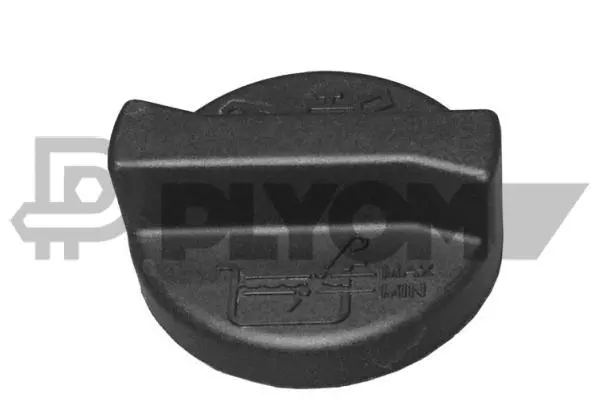 Sealing Cap, oil filler neck (P954267)