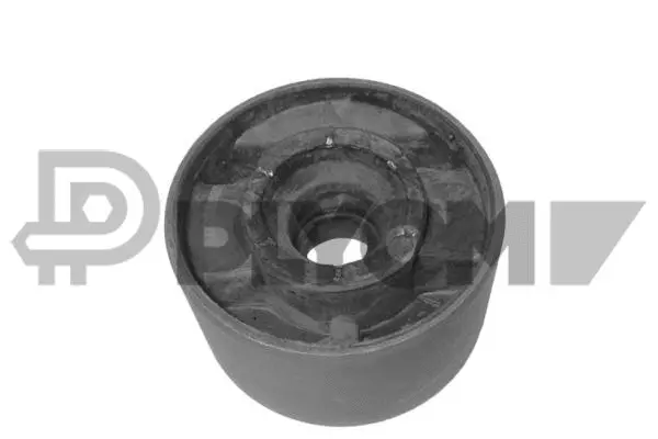 Mounting, control/trailing arm (P200923)
