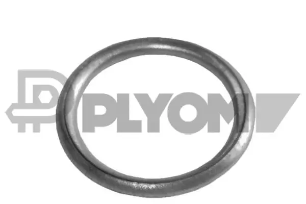 Seal Ring, oil drain plug (P952025)