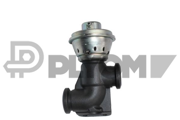EGR Valve (P770104)