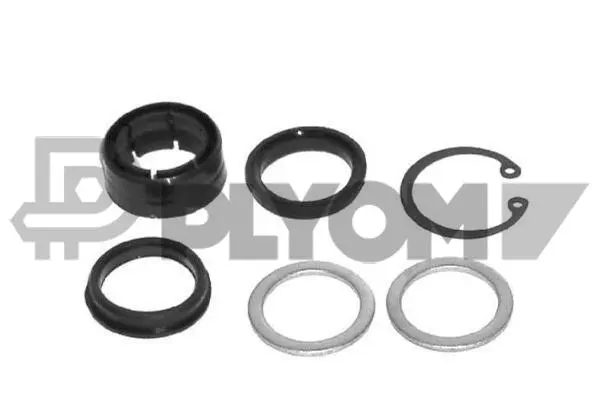 Bush, steering shaft (P030273)