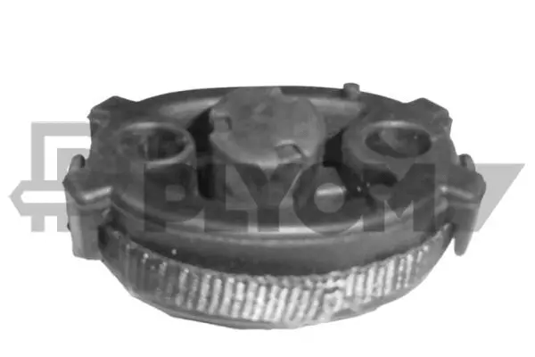 Rubber Buffer, muffler (P756604)