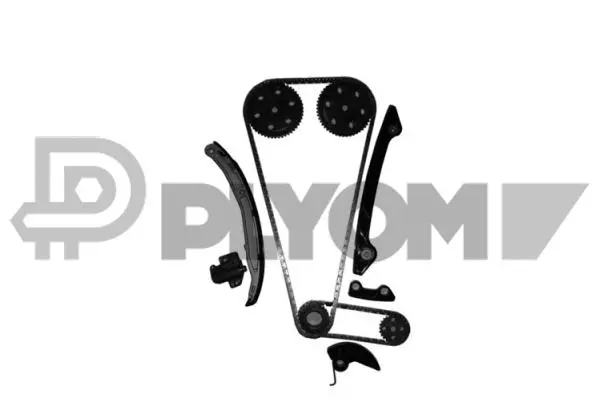 Timing Chain Kit (P752079)