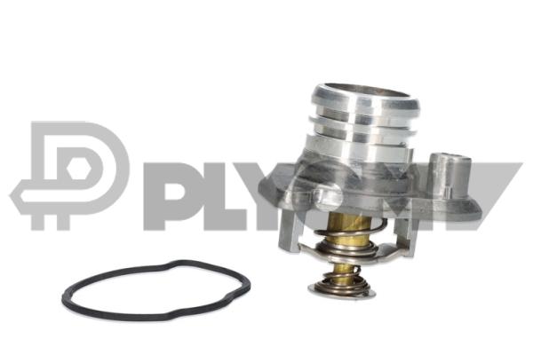 Thermostat, coolant (P750799)