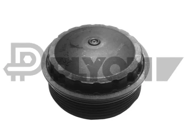 Cap, oil filter housing (P081131)