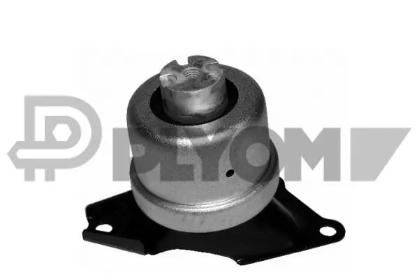 Mounting, engine (P461305)