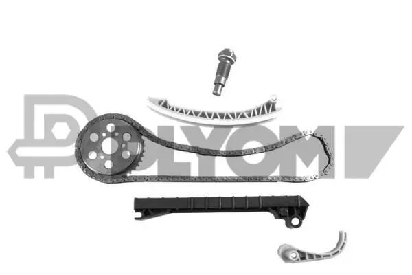 Timing Chain Kit (P752094)