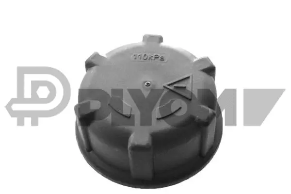 Cap, coolant tank (P751293)