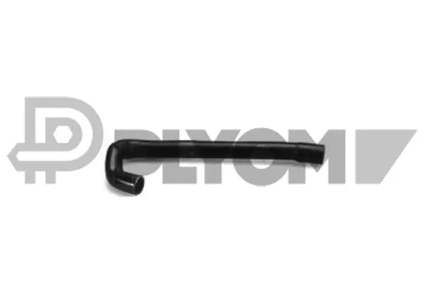 Radiator Hose (P126118)