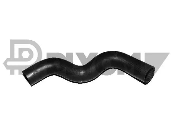 Radiator Hose (P036388)