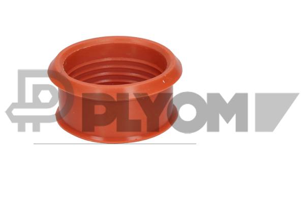 Charge Air Hose (P031466)
