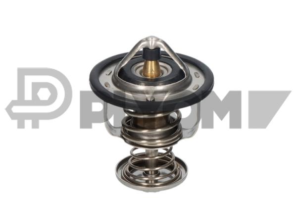 Thermostat, coolant (P772472)