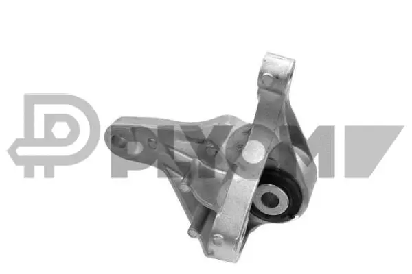 Mounting, engine (P081077)