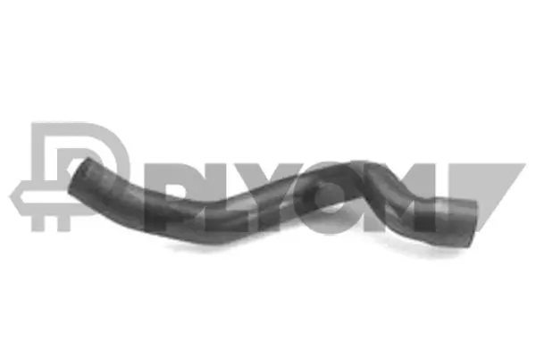 Radiator Hose (P026268)