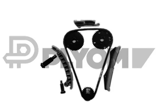 Timing Chain Kit (P752111)