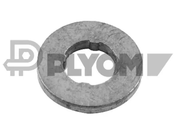 Heat Shield, injection system (P769548)
