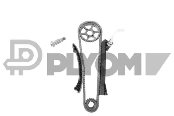 Timing Chain Kit (P771998)