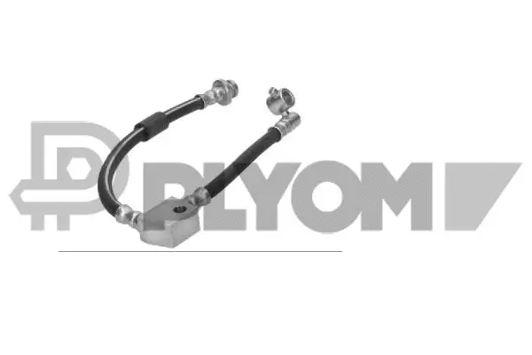 Brake Hose (P060000)