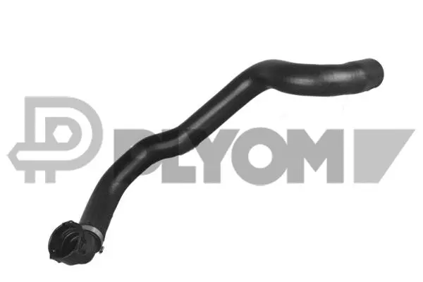 Radiator Hose (P036749)
