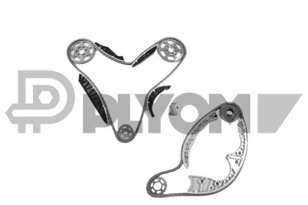 Timing Chain Kit (P772242)