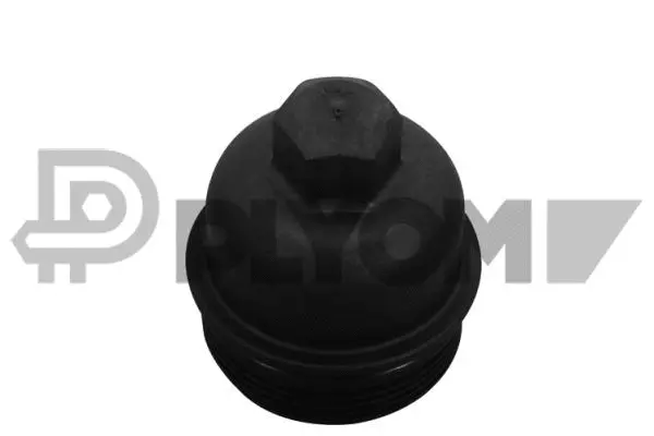 Cap, oil filter housing (P771119)