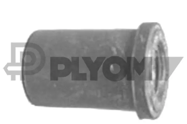 Bushing, leaf spring (P766668)