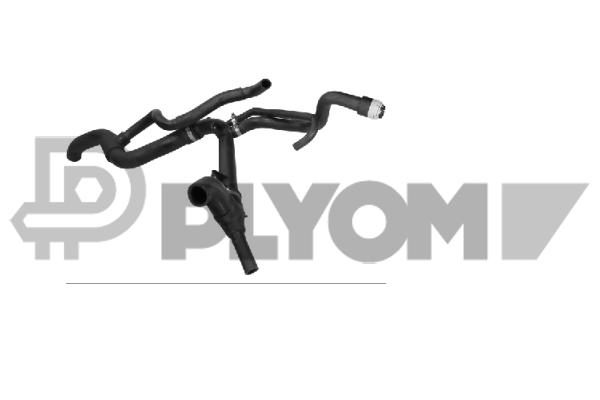 Radiator Hose (P481054)