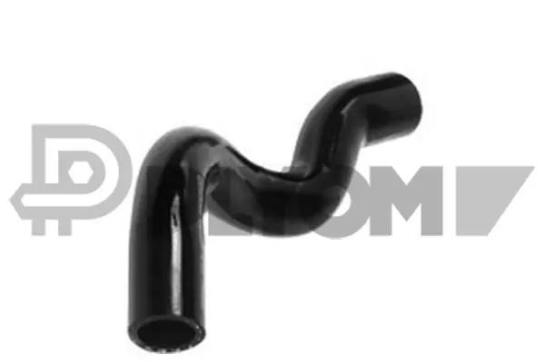Radiator Hose (P026498)