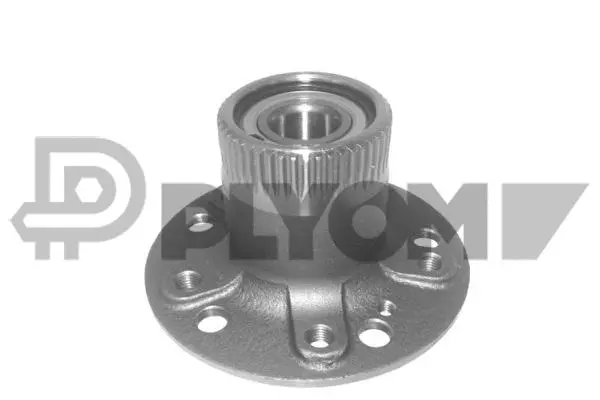 Wheel Hub (P750665)