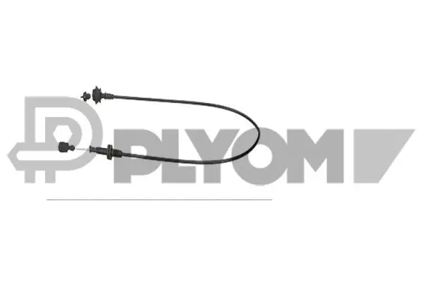 Accelerator Cable (P760160)