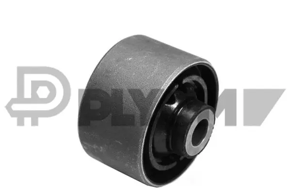 Bushing, axle beam (P755645)