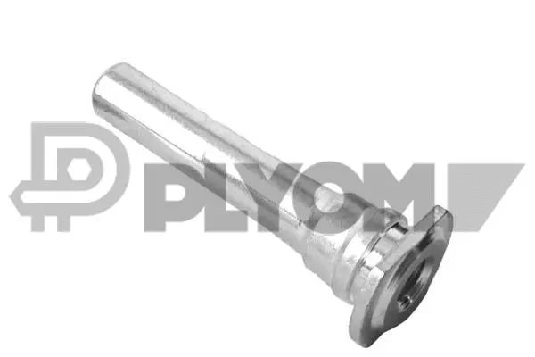 Guide Bolt, brake caliper (P759495)