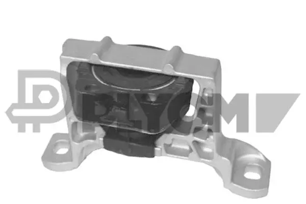 Mounting, engine (P753544)