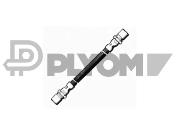 Brake Hose (P480002)