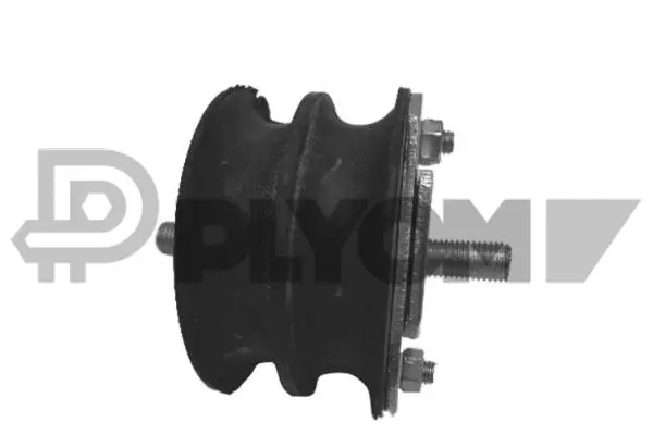 Mounting, engine (P018480)