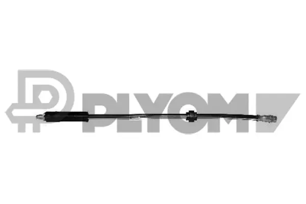 Brake Hose (P020540)