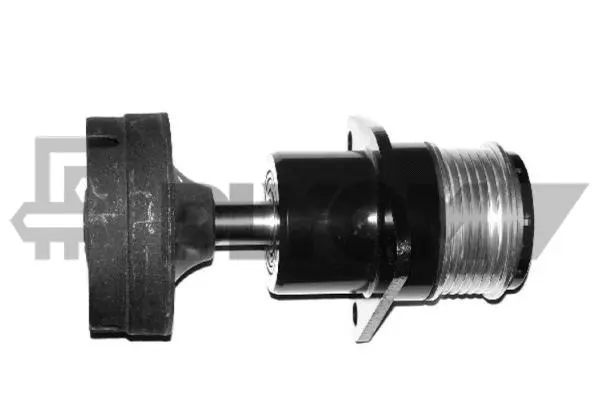 Belt Tensioner, V-ribbed belt (P081124)