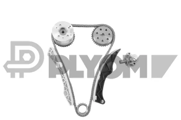 Timing Chain Kit (P772248)