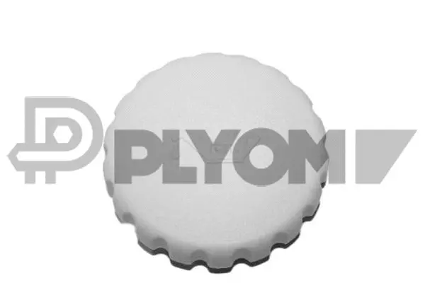 Sealing Cap, oil filler neck (P481076)